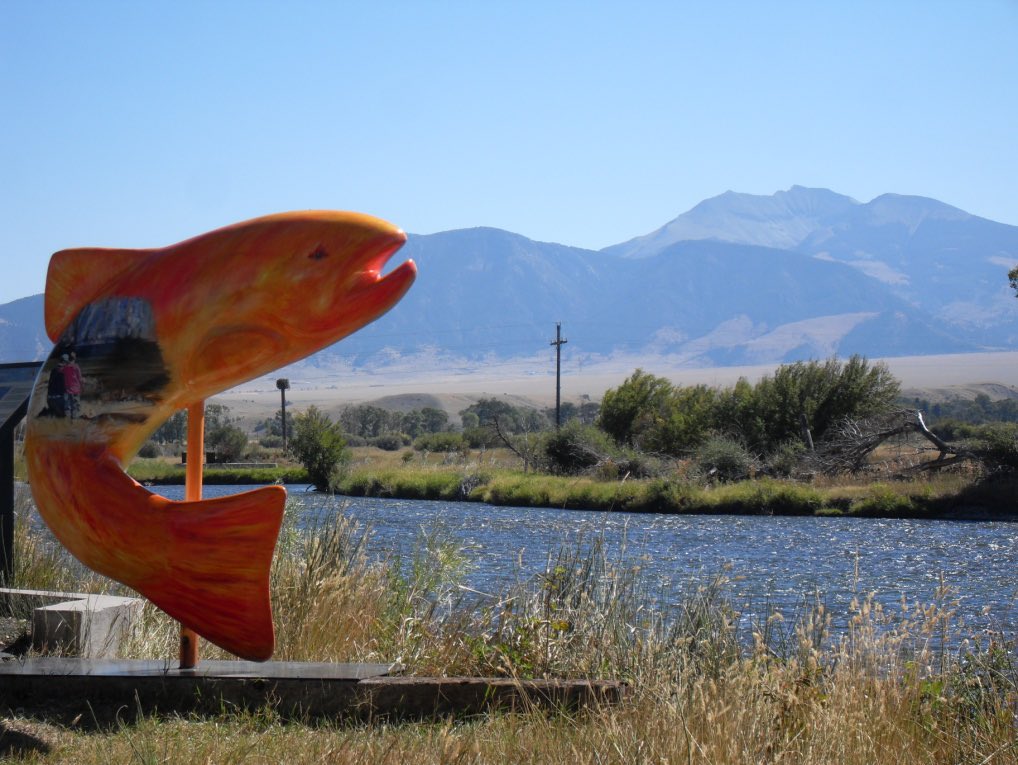 WhiteyNorthcutt's tweet photo. Ennis, Montana 

A town with more Trout than people https://t.co/tJQz2DjPeR