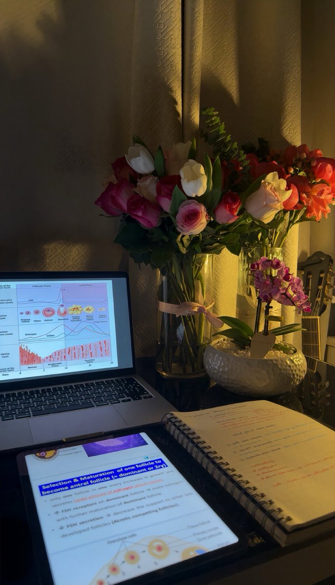 msuaowk's tweet photo. Turning 21 surrounded by so much love that even the final exam couldn’t make today feel any less special ♡ https://t.co/cdqE6sijCj