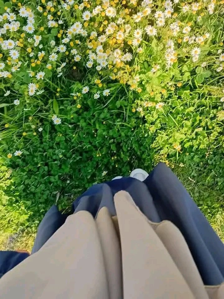 شموخ مأربية حساب بديل tweet media