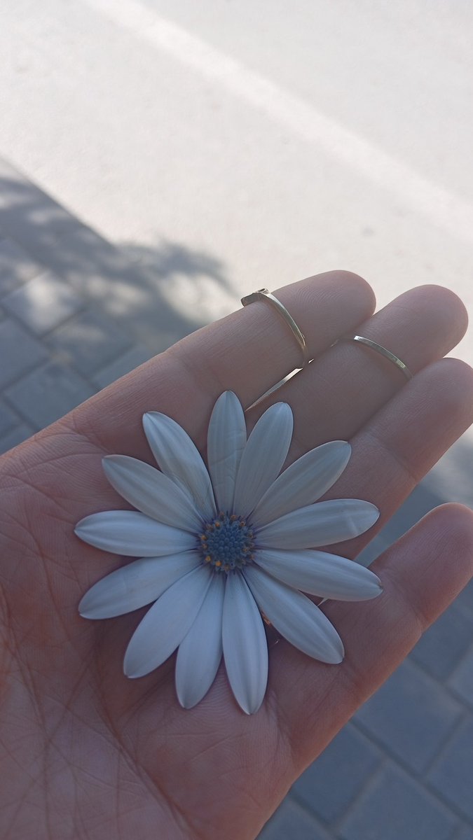 SebihaZengin's tweet photo. ...Çünkü yeryüzünde hiçbir şey kuytulardaki bir çocuğun fark edilmeyen sevgisiyle karşılaştırılamaz.

Stefan Zweig
Bilinmeyen Bir Kadının Mektubu

Kitap Alıntıları 📚 https://t.co/9A6pX59nCH