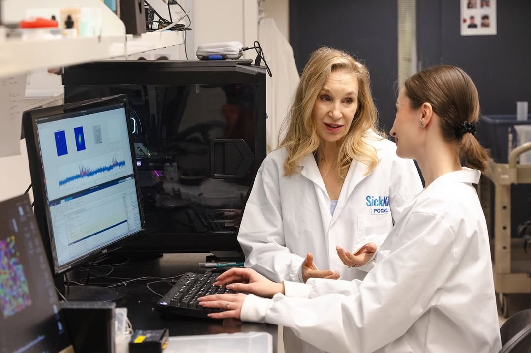 neur1s's tweet photo. Thanks to @UofT for featuring my research on social memory and translating memory mechanisms in the brain into better AI. Read the full story: https://t.co/kt3BsI62KY https://t.co/E869yzB8F7