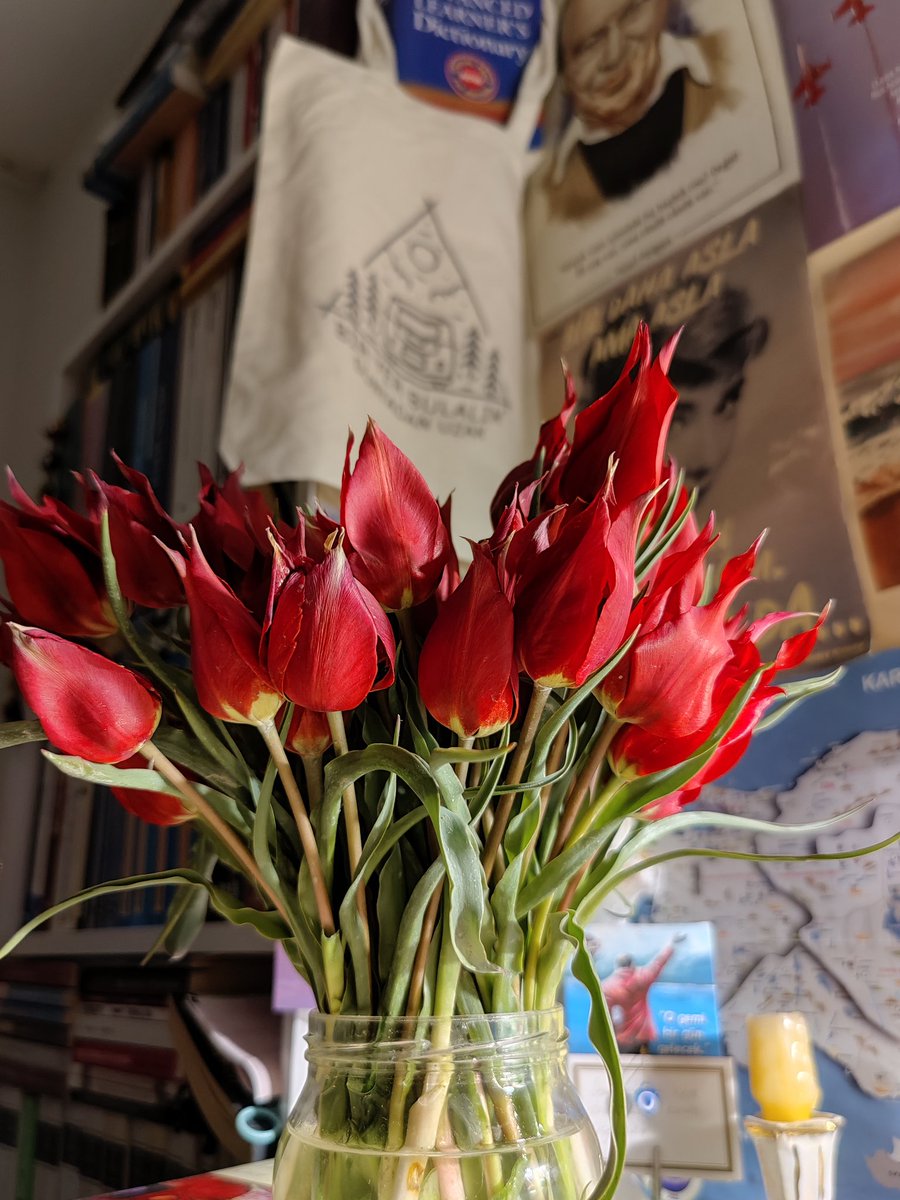 bu memleketin kışın kederine katlanıyosam da baharda bir akşamüstü çıkıp herhangi bir bağa lale toplamaya gidebildiğim için teşekkür ederim Allah'ım 🌄❤️🌷