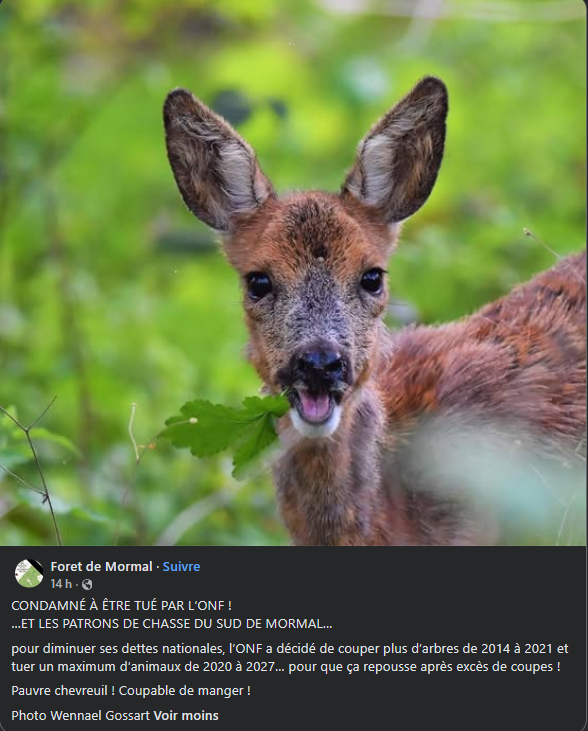 ChasseAbolition's tweet photo. #Mormal #ONF
https://t.co/WLo1lhnF36 https://t.co/cPq4t1A1O0