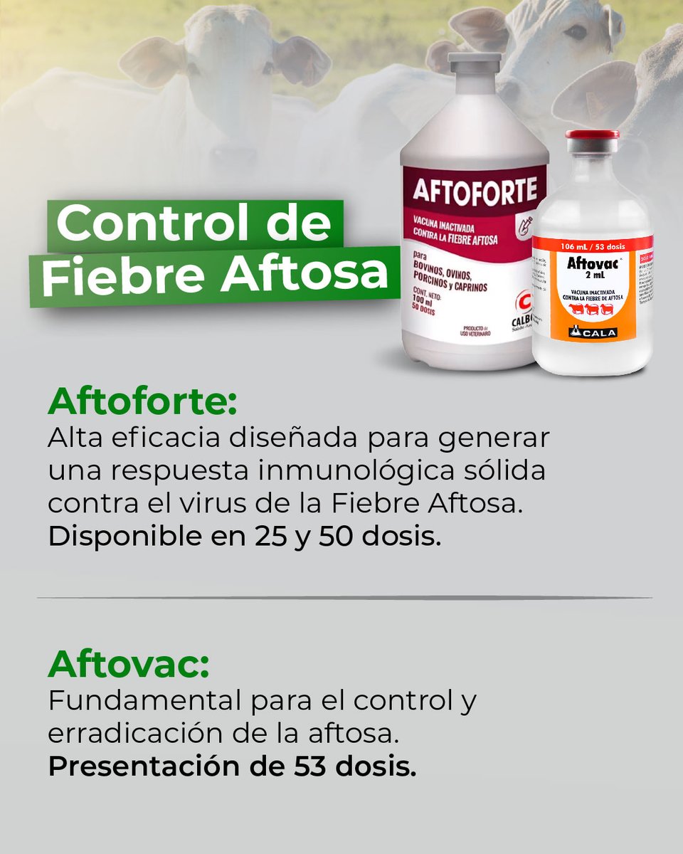MatLosAndes's tweet photo. 💉🐮 ¡El ciclo ya comenzó y tu rebaño no puede esperar! Materiales Los Andes El Vigía tenemos todo listo para que cumplas con el 1er Ciclo de Vacunación contra la Fiebre Aftosa https://t.co/IWQicsQWtu