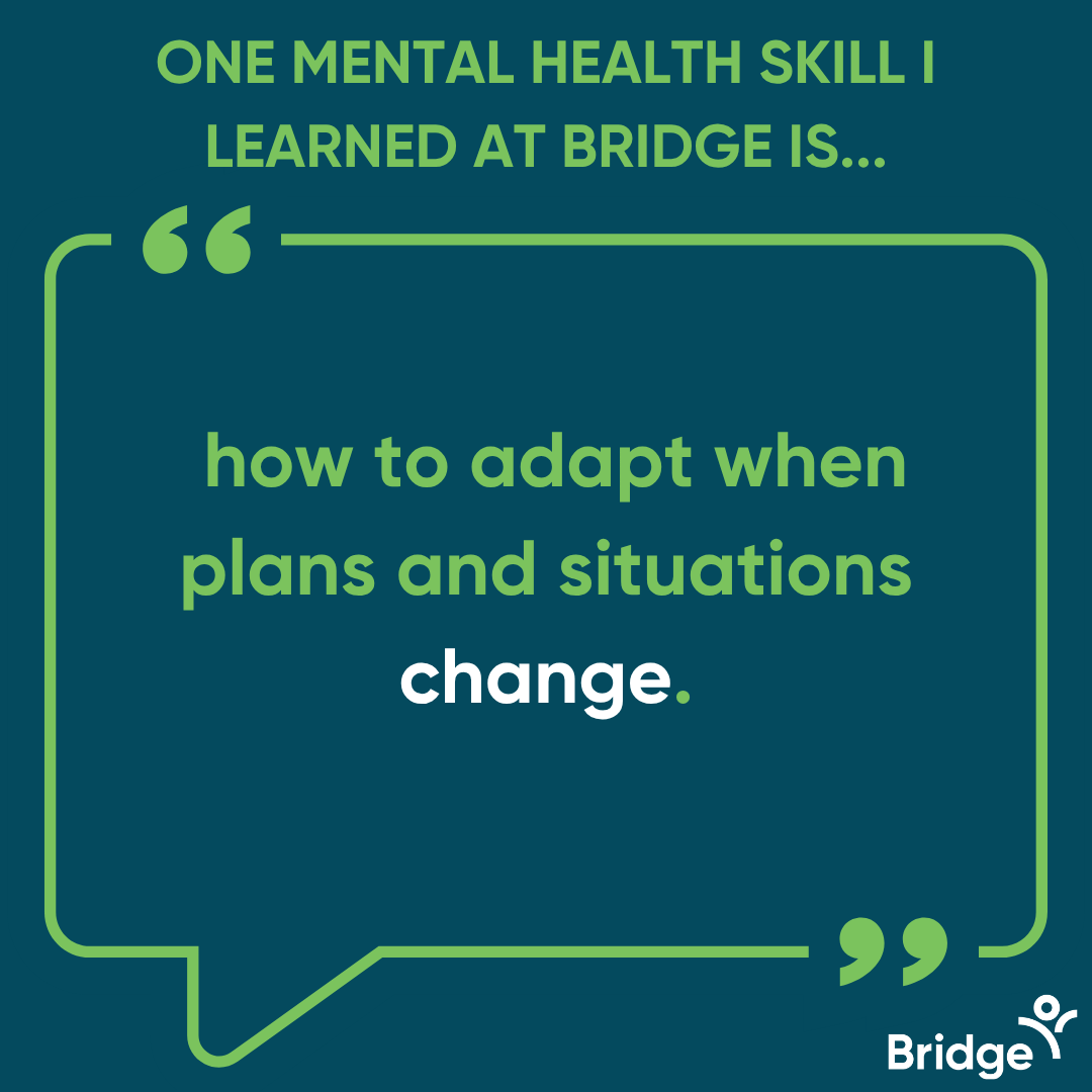 BridgeOTW tweet media