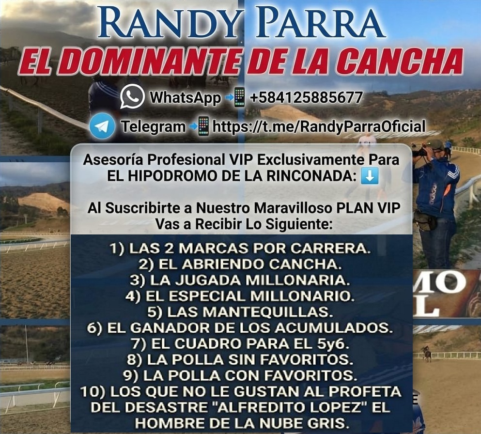 Randy_Parra's tweet photo. Randy Parra.
EL DOMINANTE DE LA CANCHA.
WhatsApp 📲 +584125885677.
Telegram 📲 https://t.co/9P4a2LSuV5
#Hipismo
#5y6
#LaRinconada
#Deportes
#DaleLike
#sigueme
#hipismointernacional https://t.co/pwmjn4dlOC