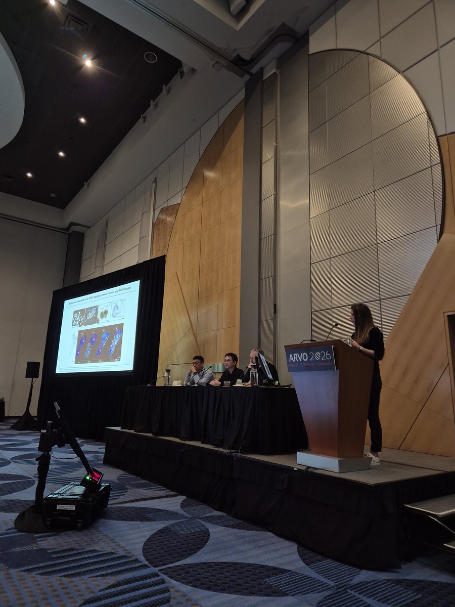 Ophthalmo_lab's tweet photo. The PI @ADuarriPhd and a PhD student Maddalen Zufiaurre @zu45278 from the laboratory presented the group's research at the #ARVO2026 conference in Denver. https://t.co/0w7nMefAEJ