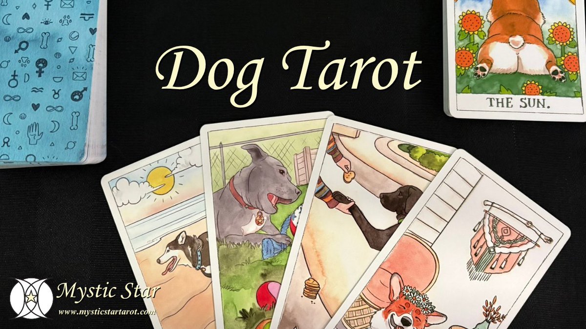 Dog Tarot Unboxing
youtu.be/lMcc2yAN5os
🐶
#MysticStar #mysticstartarot #unboxing #dogtarot