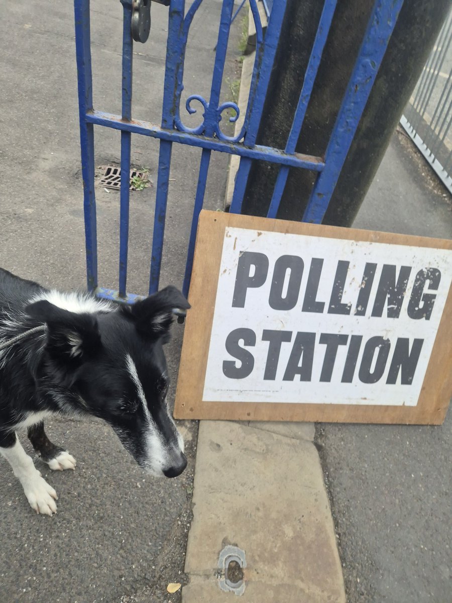 BigStrongRed1's tweet photo. #dogsatpollingstations https://t.co/61YaXp7w01