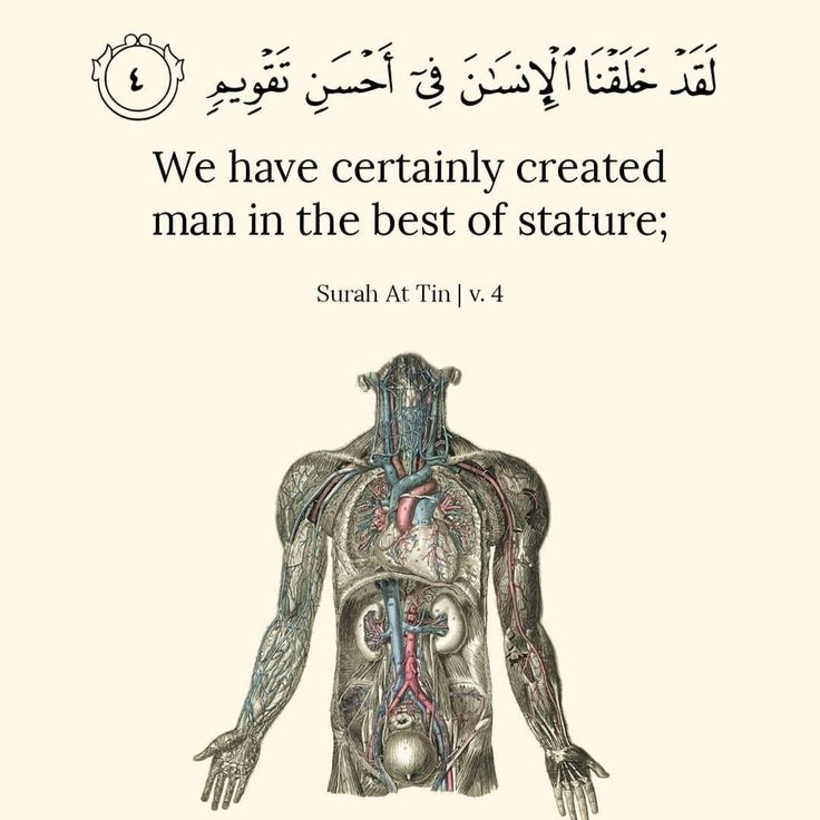 Al_Quran_011's tweet photo. reposts, it will help you❤🕊️ https://t.co/KY1EGy95g1