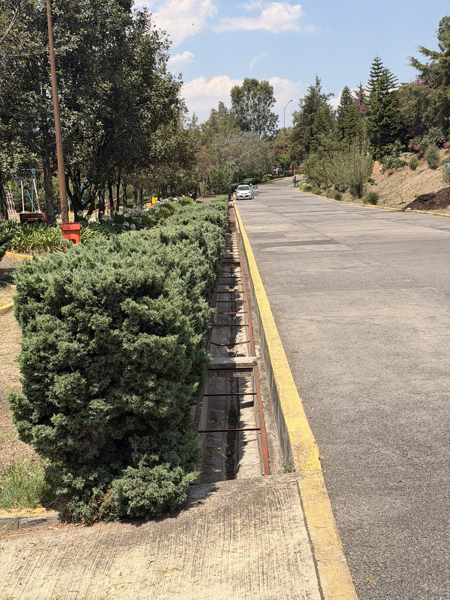 lomasdetarango_'s tweet photo. @LopezCasarinJ 🚨URGENTE Hay riesgo en el parque ecológico presa Tarango por q se robaron las rejas del canal de desagüe por favor ayúdenos es peligroso y más por q está a un lado de los juegos de niños @Carlos_AGH @AlcaldiaAO https://t.co/5qJLHVTggb