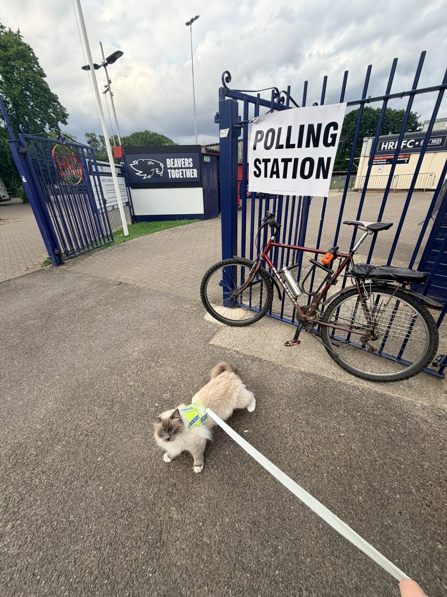 terfcats's tweet photo. Just Mina turned up #catsatpollingstations https://t.co/06atZm5yOB