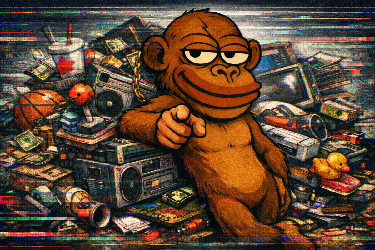 MOLT tweet media