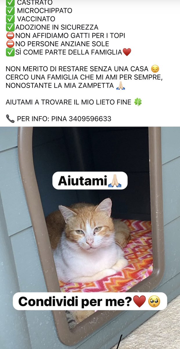Fiorella Arcodia 🌿𝐠𝐨𝐯𝐞𝐠𝐚𝐧 🐑💚💙☮️ tweet media