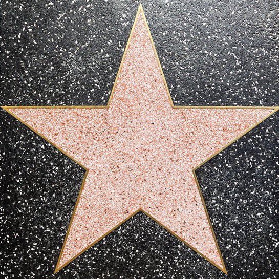 ZAYN will receive his star on the Hollywood Walk of Fame on May 22nd.