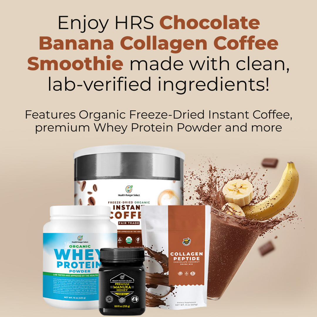 OfficialHRStore's tweet photo. Start your morning strong with this delicious Chocolate Banana Collagen Coffee Smoothie packed with clean coffee, premium protein, collagen peptides and superfood goodness!

https://t.co/8SsqTd4v8l

#HealthyLifestyle #CoffeeLovers #SmoothieTime #MorningFuel #HealthyChoices https://t.co/bNMssdVMB9