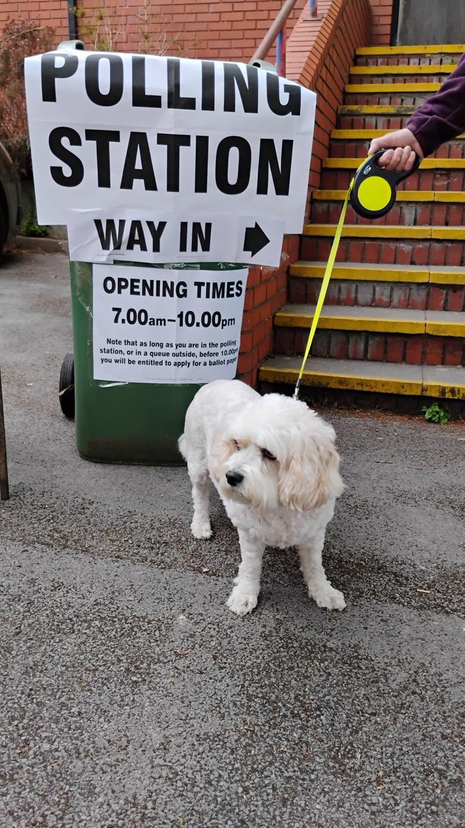 KarenOB24451798's tweet photo. #dogsatpollingstations
Daisy watching out for any greenies. #VoteReformUK #CannockChase 🩵 https://t.co/CBgOKxaEOh