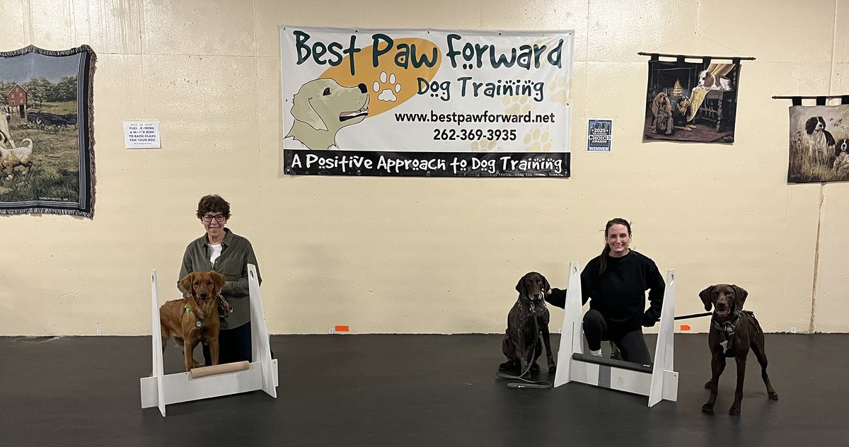 bestpawforwardw's tweet photo. Congrats #Flyball grads! Flyball is a rather complex sport which requires chaining many behaviors together. They all learned the skills and started to finesse those skills into the strategy of flyball. They were FANTASTIC! #GradPhotos #Dogs #RewardBasedTraining #TopChoiceWinner https://t.co/x4qTkRLH2f