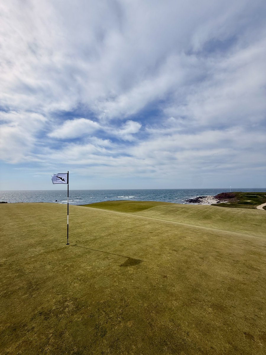 Max’s Golf Quest tweet media