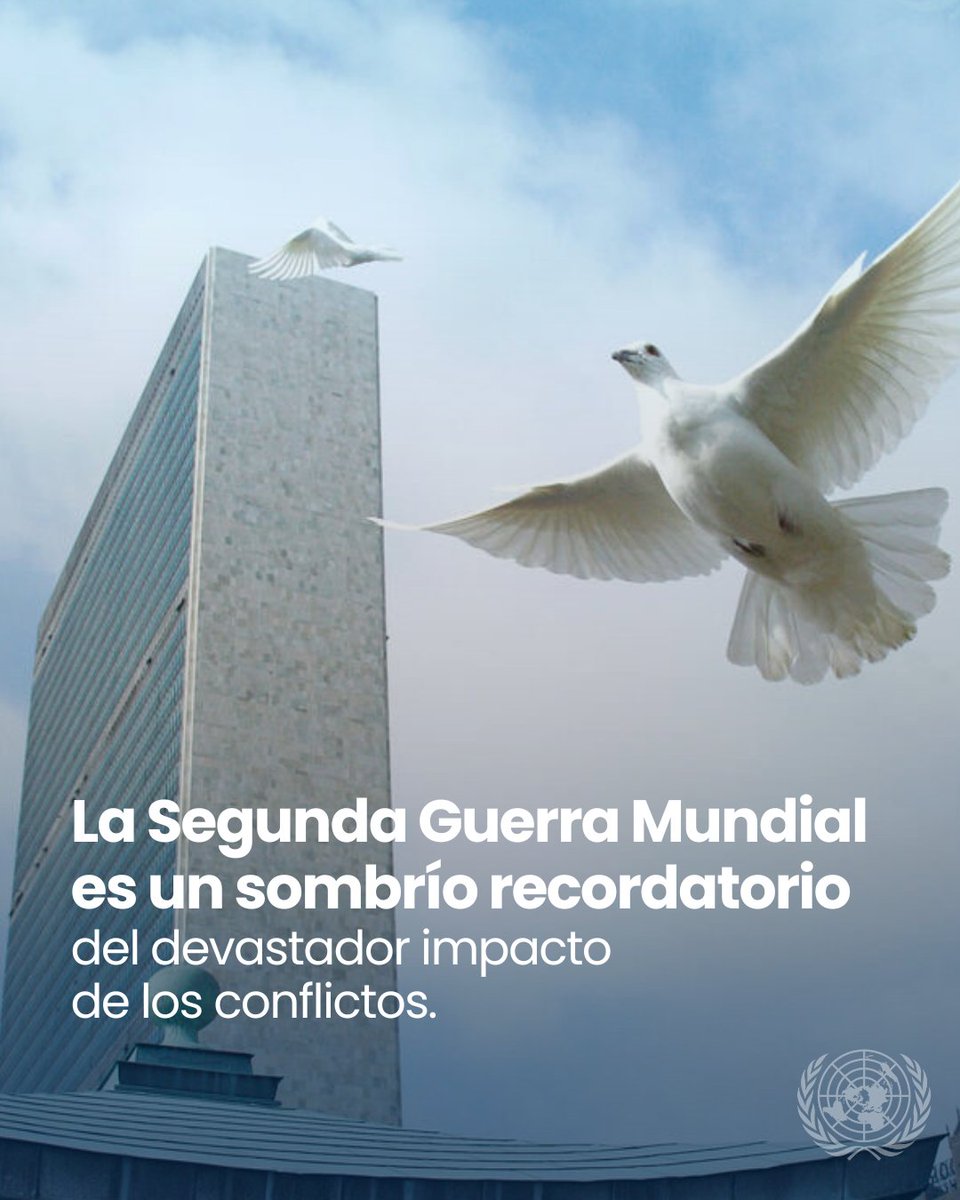 Naciones Unidas tweet media