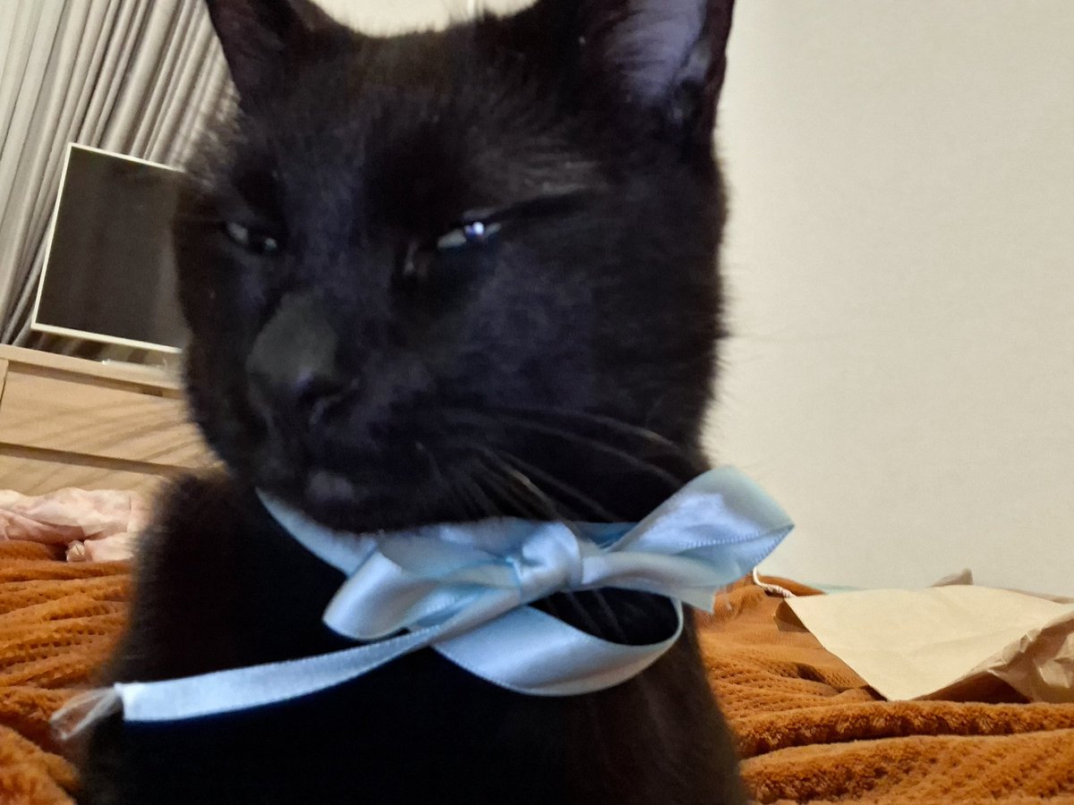He's ready for the Met Gala