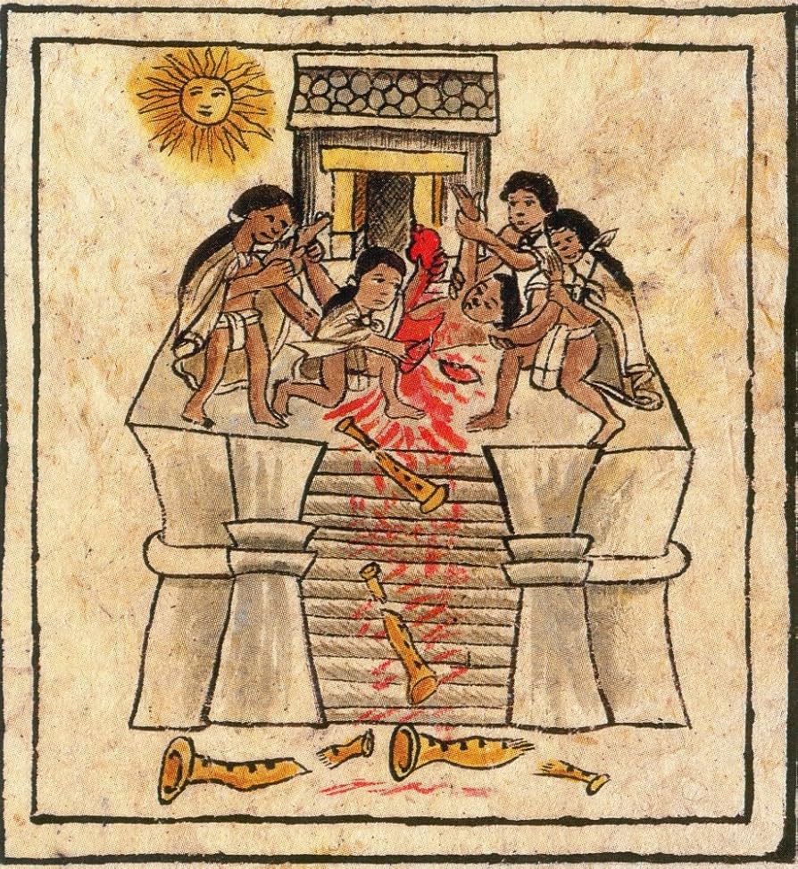 AmargaProgres's tweet photo. @Claudiashein Tenga señora @Claudiashein una muestra ilustrada de lo que hacían sus queridos #aztecas,por cierto muchas extraídas de pueblos #Txacaltecas que le aproveche https://t.co/OT8IcvfNoE