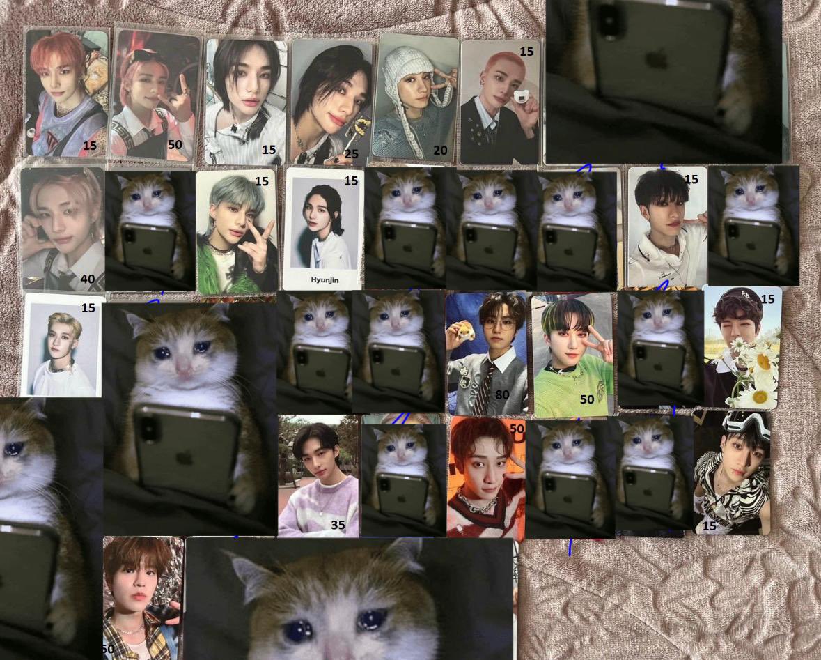 little | VIU O SKZ🐥 VAI VER O ENHA🦊 tweet media