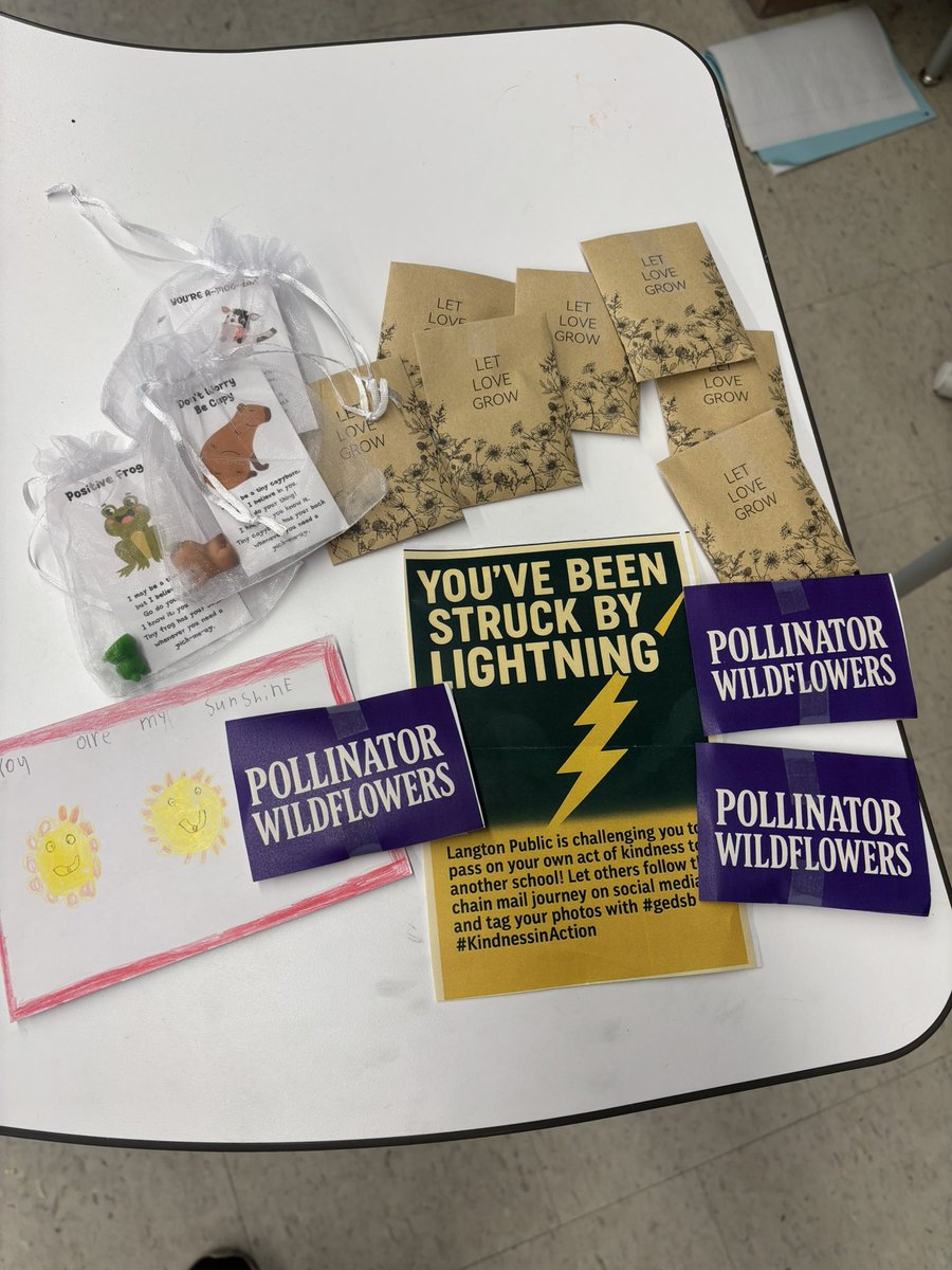 place_echo's tweet photo. We got struck by lightning! Thanks @GEDSB_Lightning for your kindness package! We’ve paid it forward to another school! #gedsb #KindnessinAction @GEDSB https://t.co/1YUD19kVrB