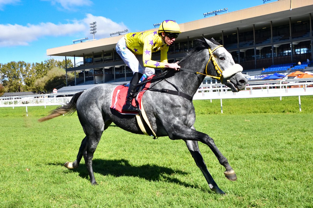 DeKockRacing's tweet photo. Green Machine's pedigree suggests he could win again over more ground. https://t.co/EAd5JEhDHw https://t.co/j8mjau7Cdw