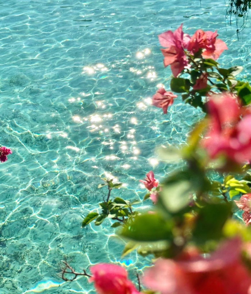 bloomele_'s tweet photo. Mabul Island, Malaysia https://t.co/RvOYbJE6WW