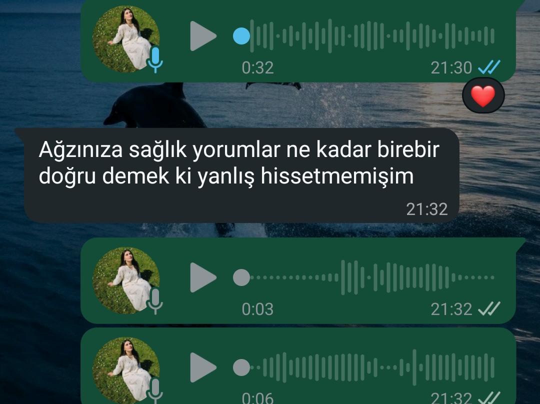 Hissel tweet media