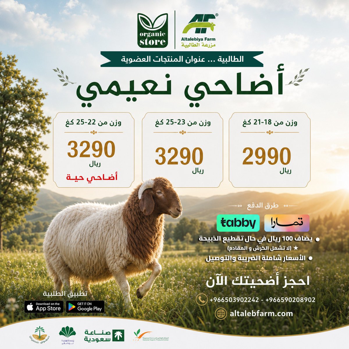 altalebfarrm's tweet photo. � أضــاحــي عـضـويــة🐏 https://t.co/TqIPdioDlP