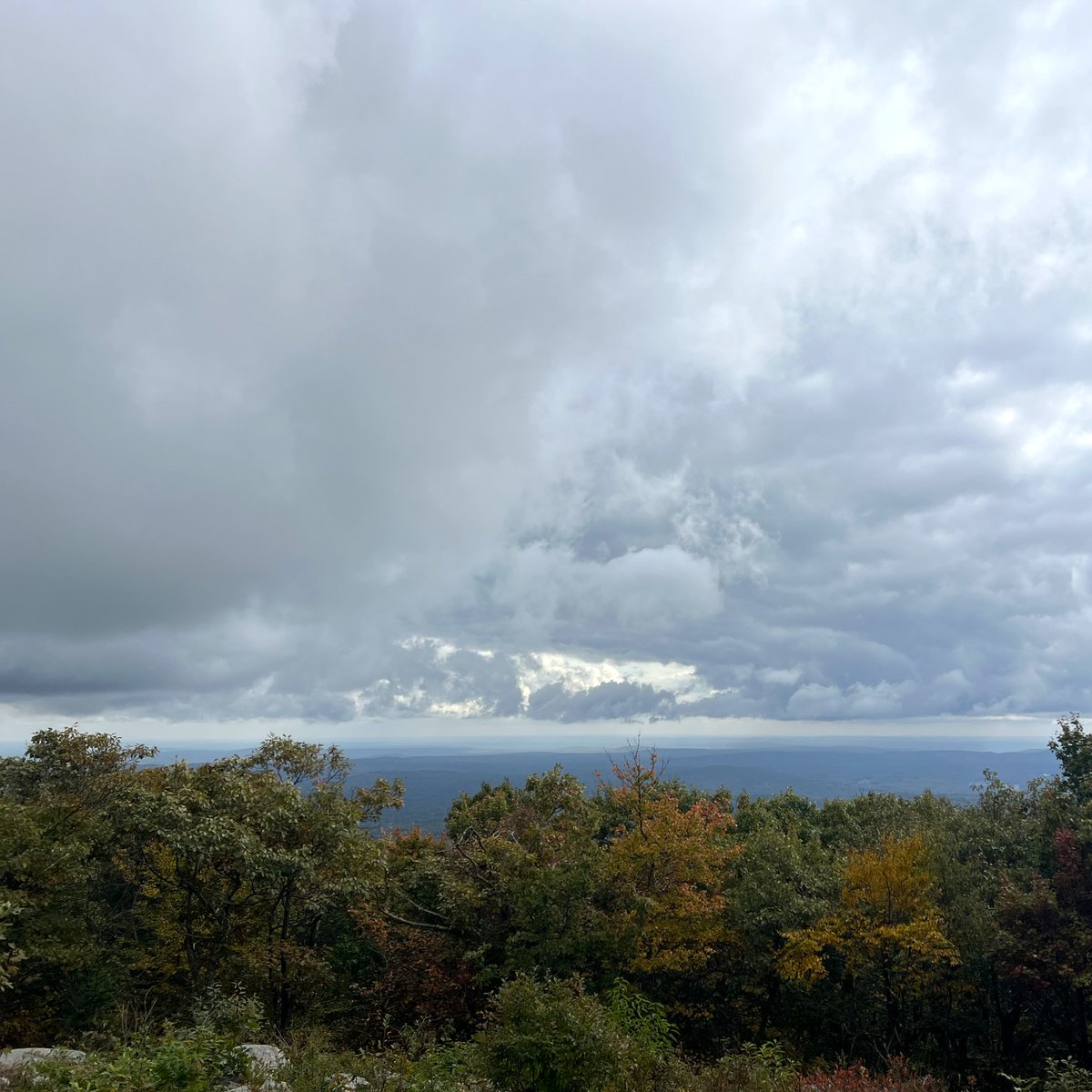 EPARegion1's tweet photo. ➡️ It’s #AirQualityAwarenessWeek
💭 Have you heard of #AirNow? AirNow is your one-stop source for air quality data. Our website and app highlights air quality in your local area first, while still providing air quality information at state and national views. AirNow’s interactive map even lets you zoom out to get the big picture or drill down to see data for a single air quality monitor, like the one perched on top of Pack Monadnock Mountain, in Peterborough, NH.
🔗 Check out AirNow here: https://t.co/LwKUoyXRNs