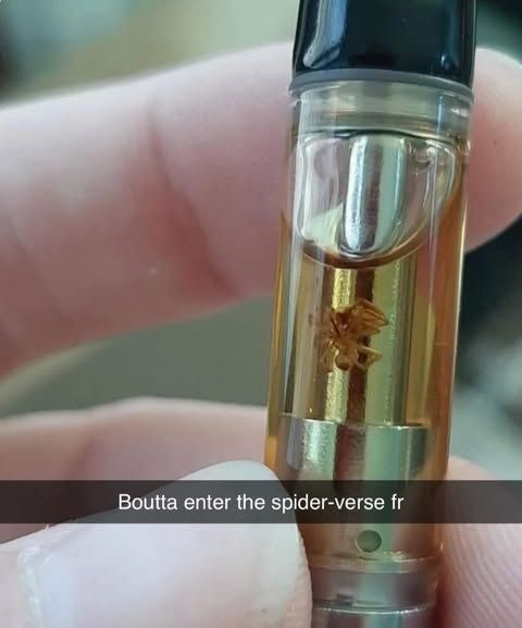 things that i smoke weed to tweet media