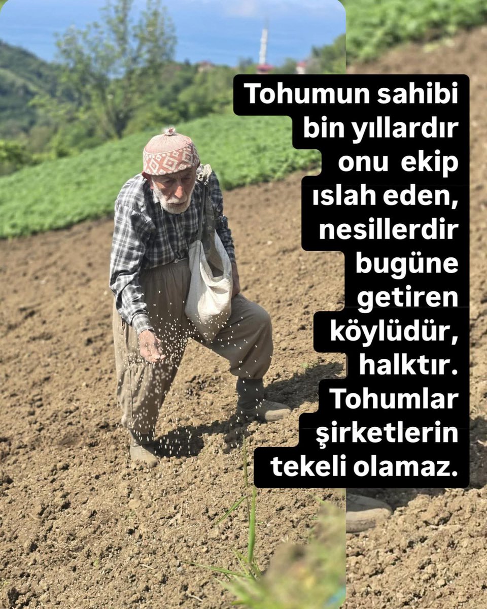 Tohumun sahibi bin
 yıllardır onu 
ekip ıslah 
eden, 
nesillerdir bugüne 
getiren köylüdür, 
halktır. 
Tohumlar şirketlerin
 tekeli olamaz. 
Murat Yılmaz