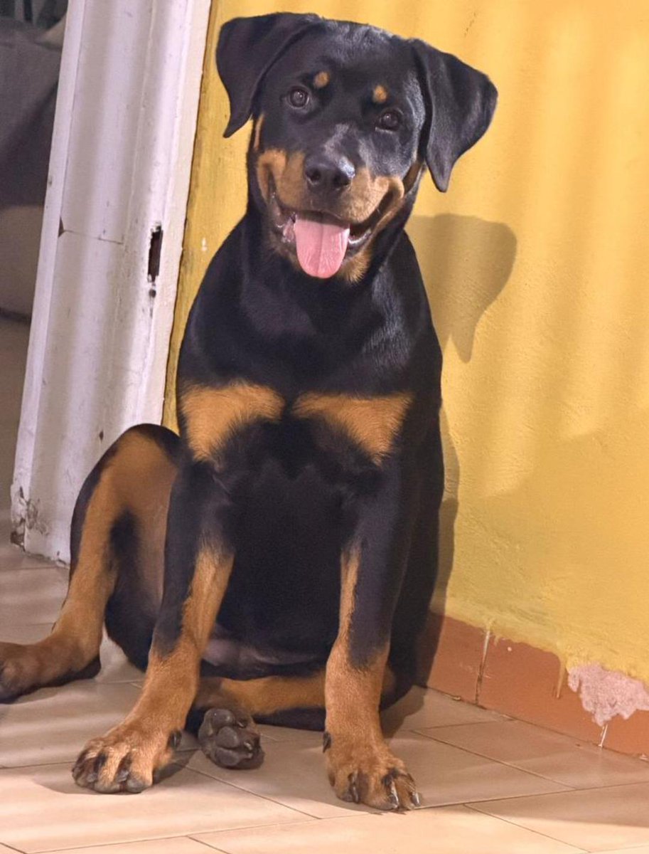 maría helena 🌻 tweet media