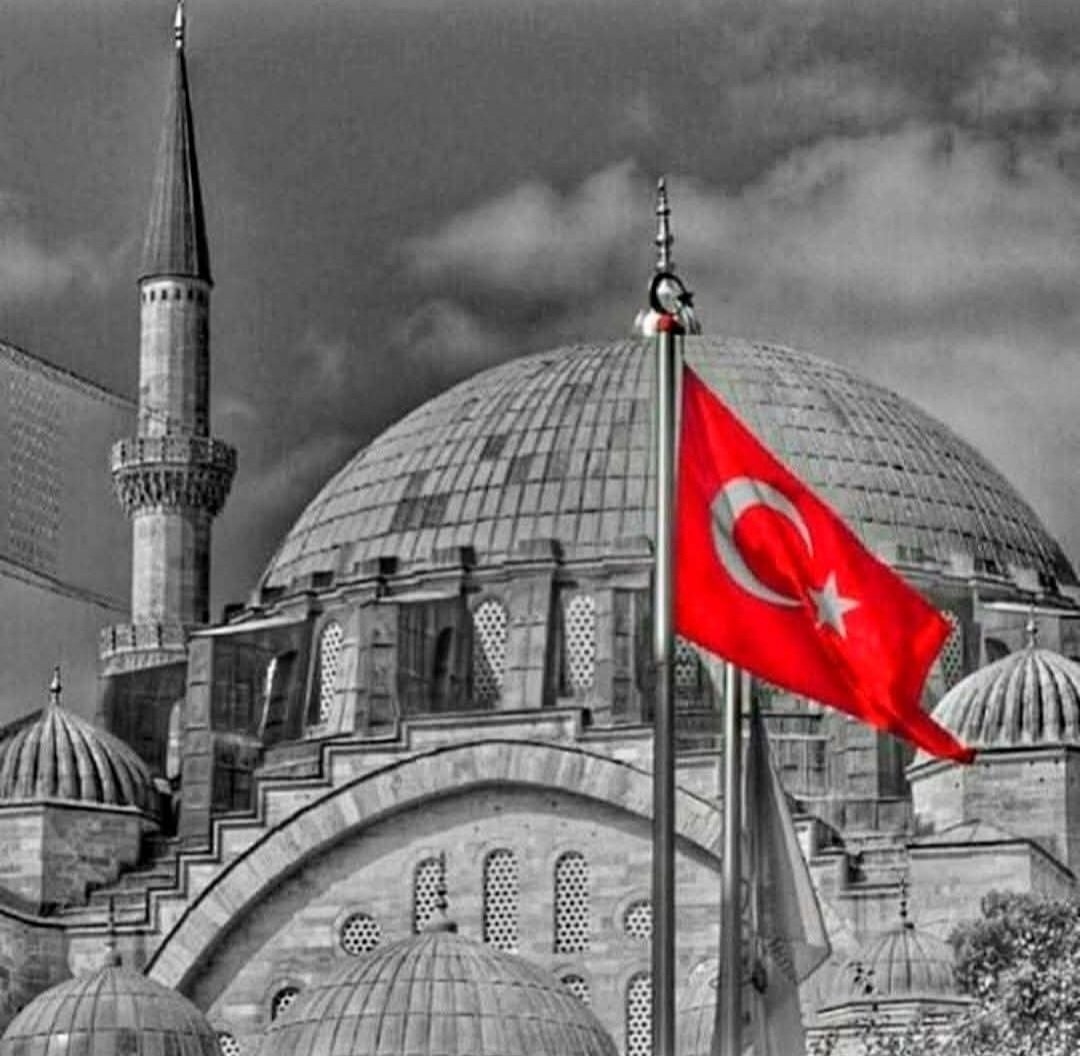 FATMA🇹🇷 tweet media