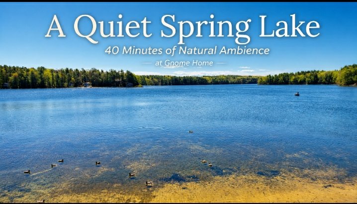JohnSmallArtist's tweet photo. Spring Lake Stillness. Nearly 40 Minutes of Gentle Water, Birds &amp; Quiet Reflection.

Filmed while working on my May illustration, Jonwell and the Mossy Root Door. 
The lake is part of the same quiet world of observation, stillness &amp; small thresholds.

https://t.co/vZ1SR31HRx https://t.co/fLtO8iV4w1