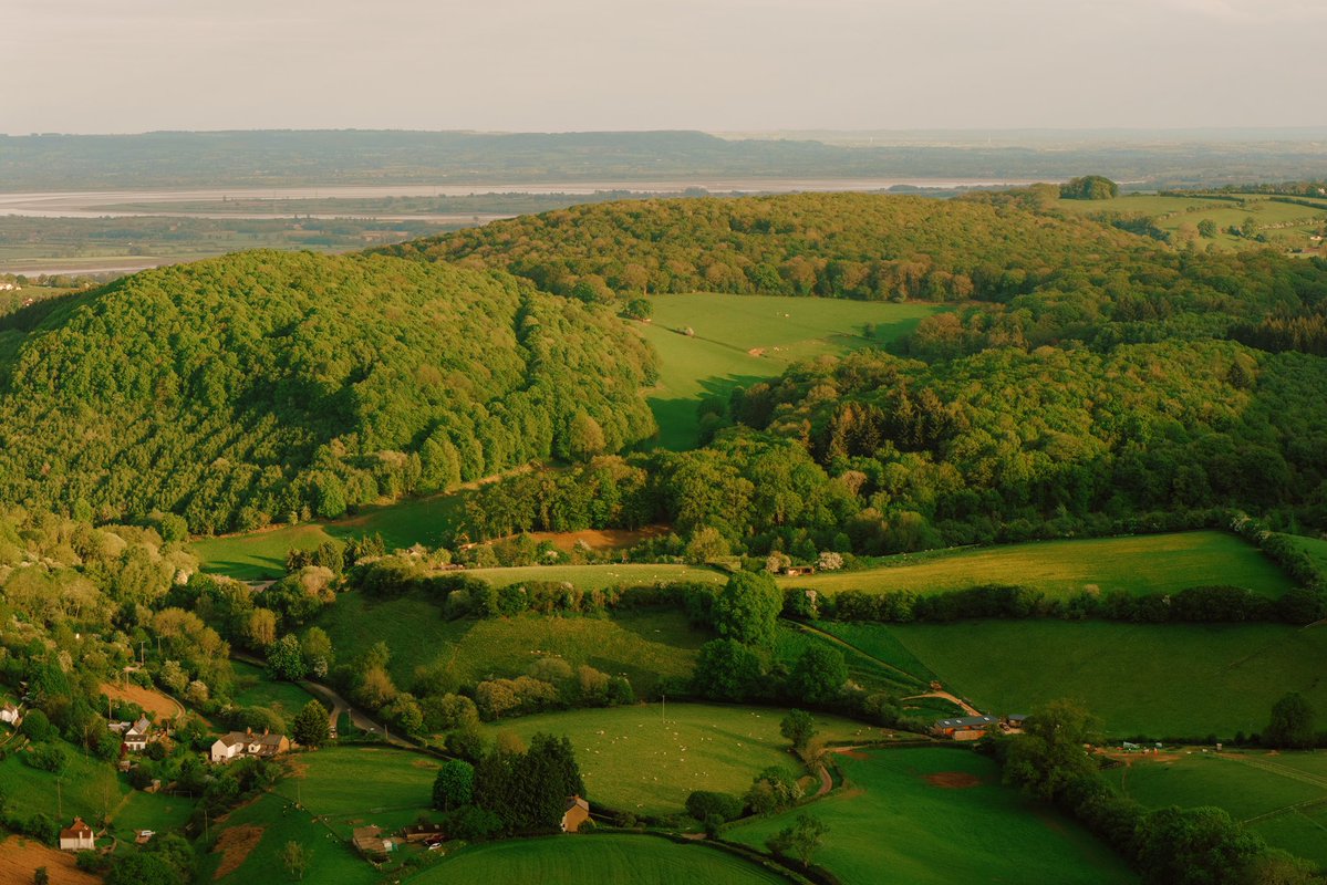 Daniel Casson tweet media
