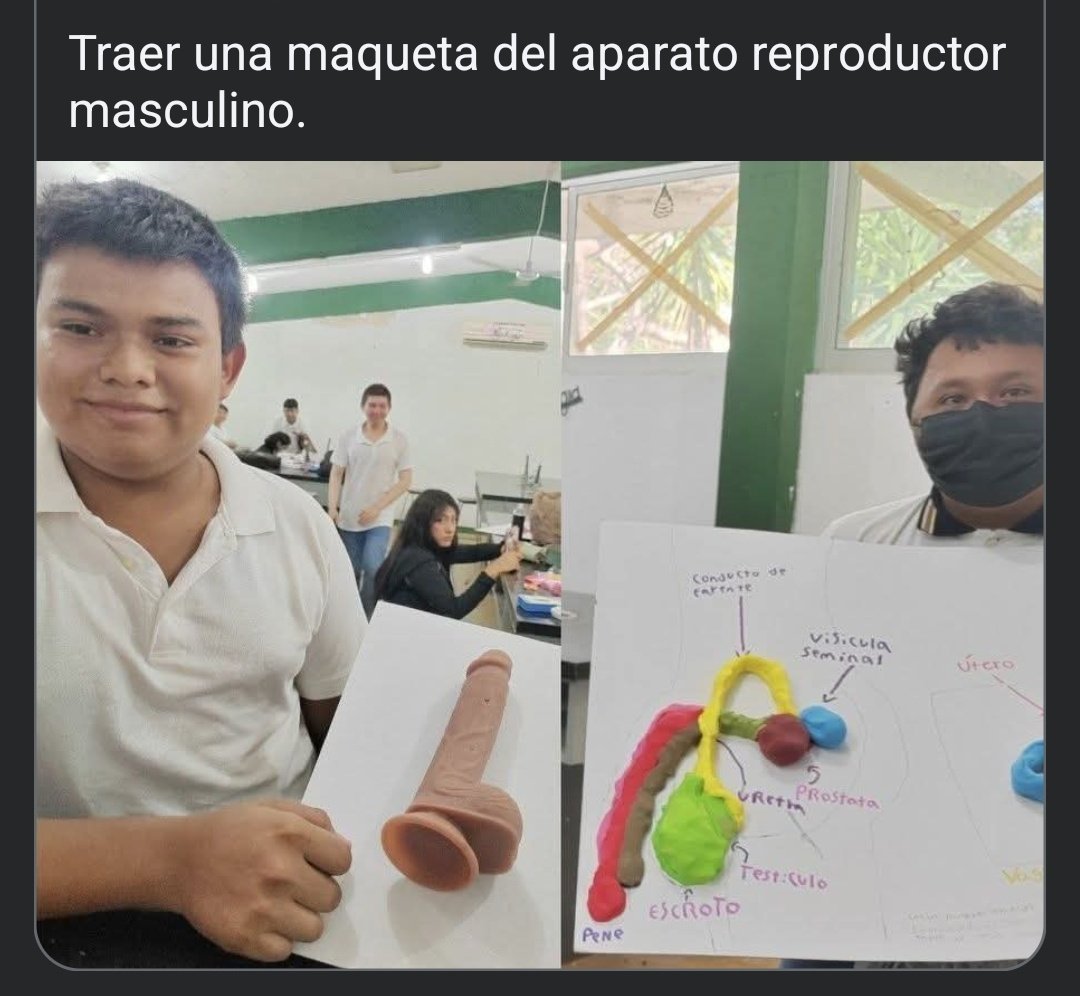 Shitpost Aleatorio (@shitpostrandom) on Twitter photo 