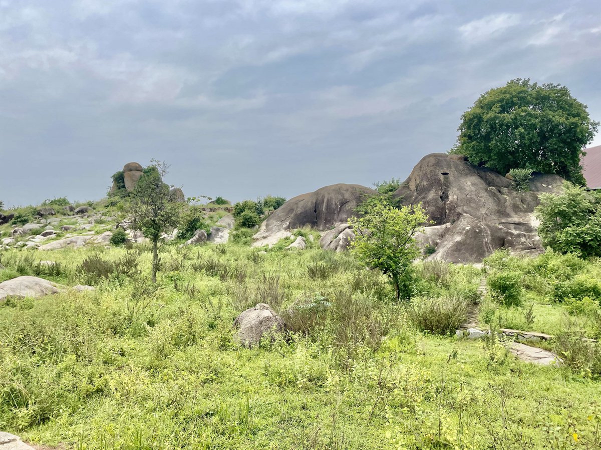 MarekaMalili's tweet photo. Kuna Places unajijengea zake a get away House, or Cabin, sehemu utakua unaenda zako kujituliza na stress za maisha ya mjini.
Sehemu ukiamka unasikia ndege wanaimba, unavuta Clean air, Na Utulivu halisi.
Hii ni namna nyingine ya kuongeza muda wa kuishi. https://t.co/SwQIk2LlMp