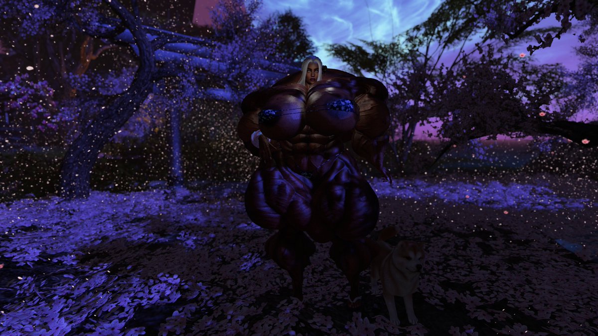 Ravness Nochtir tweet media