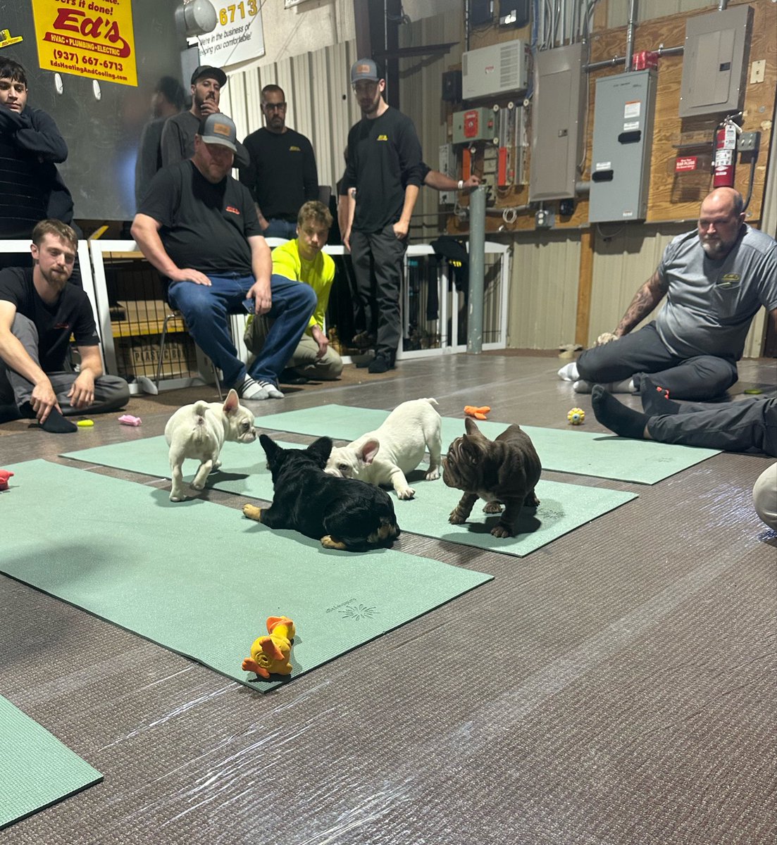 edshvac's tweet photo. A little puppy therapy and ice cream to brighten the workday 🐶🍦

Big thanks to the Cincinnati region Puppies&amp;Yoga and the Dayton region Alsies Ice Cream Truck for helping us kick off summer with a fun and relaxing afternoon! https://t.co/fR67WxnHd1
