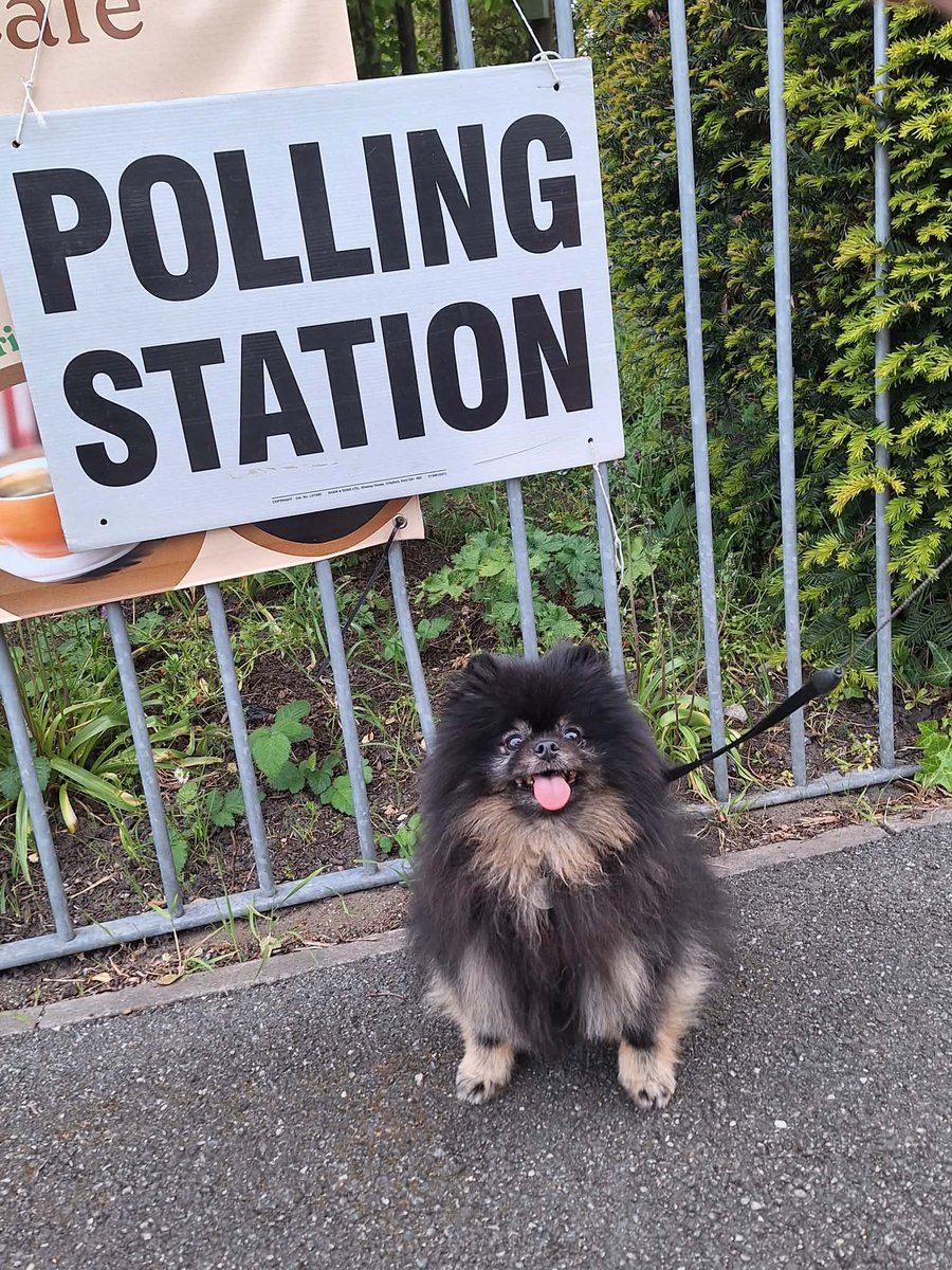 comedywade's tweet photo. Kevin’s first vote #dogsatpollingstations #votingdog #pollingdogs https://t.co/R7bLjRnlsn
