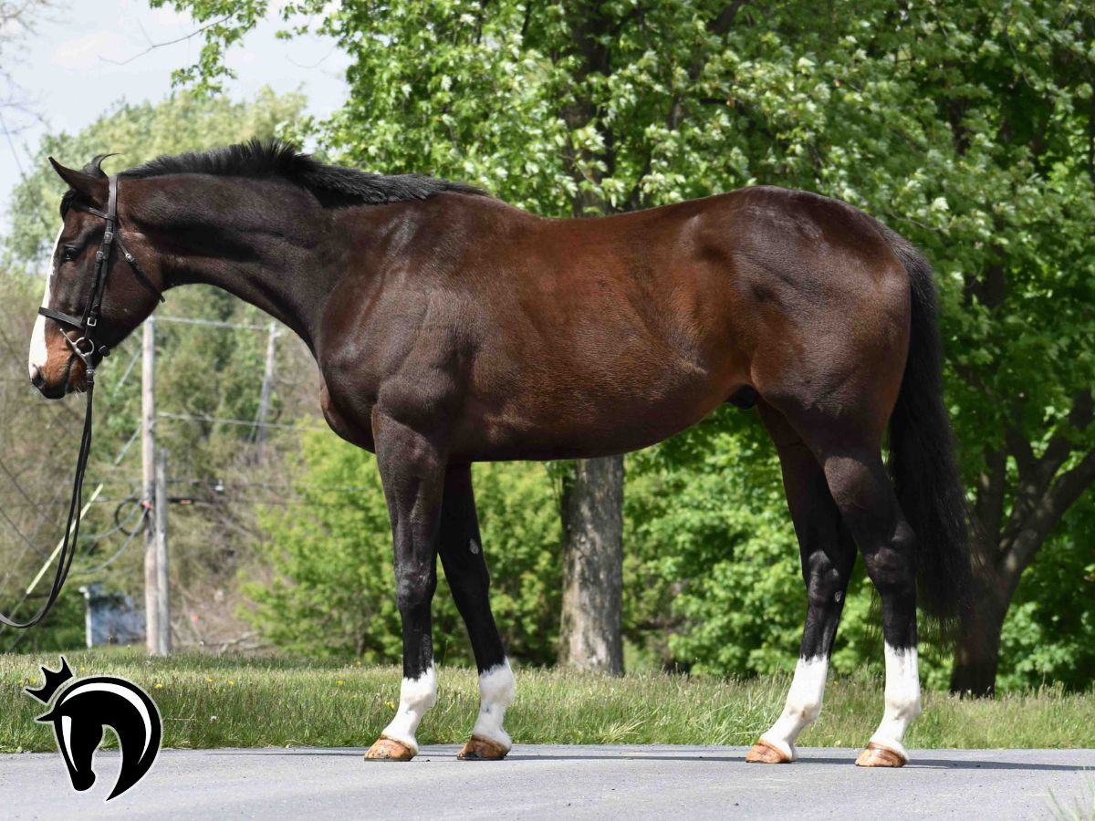 New Vocations tweet media