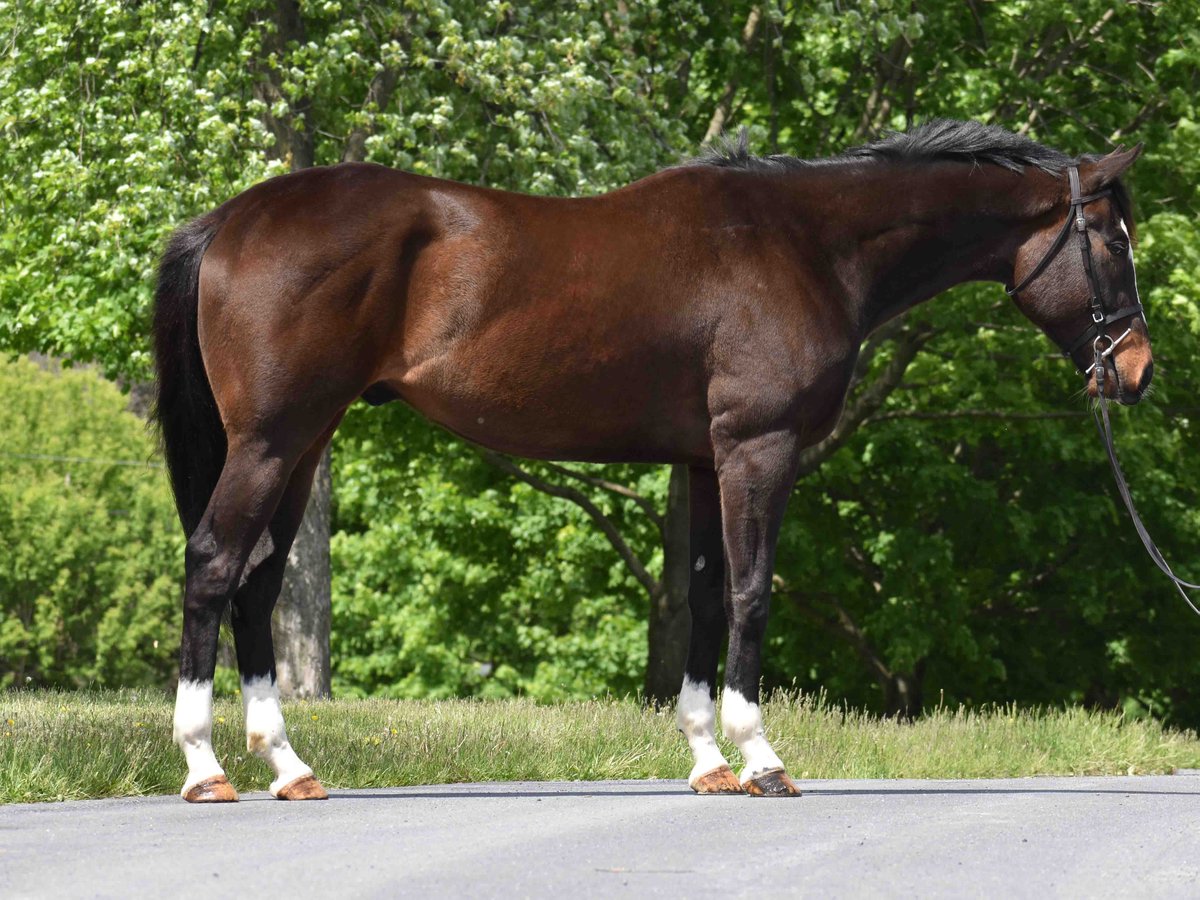 New Vocations tweet media