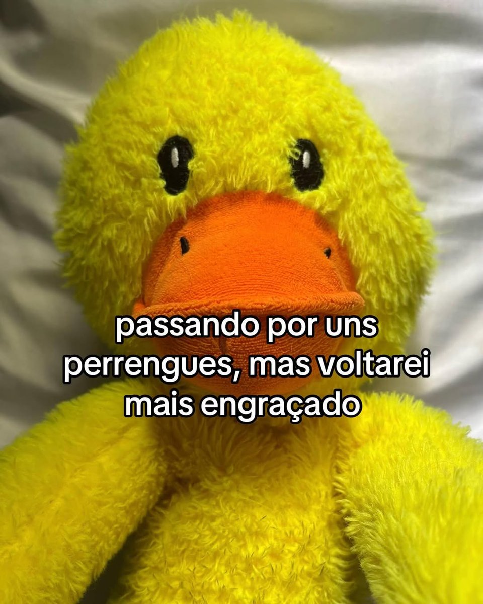lílian. 🏒 tweet media