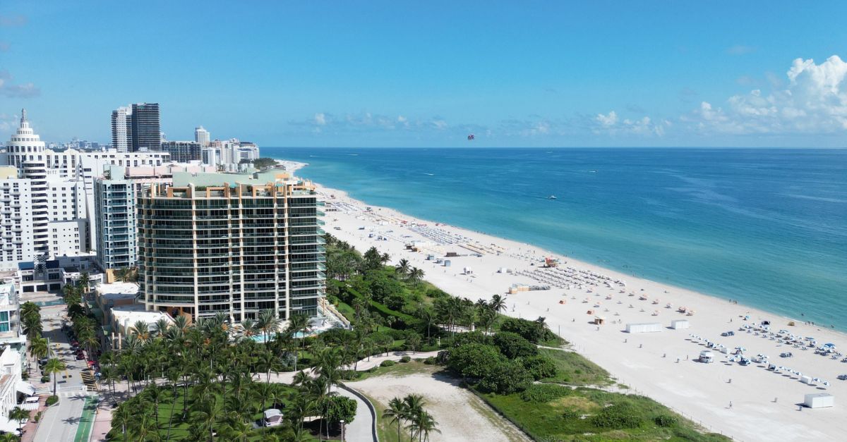 The Miami Guide tweet media