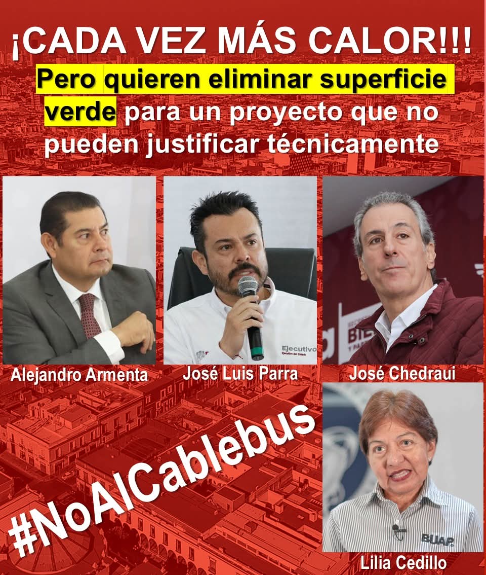 Agenda Ciudadana por los Árboles y Áreas Verdes tweet media