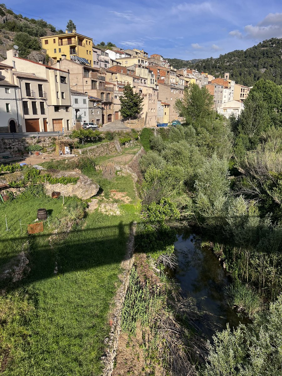 VertebratePub's tweet photo. Village life in Catalonia. https://t.co/N75s3yy0A8